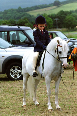 TipTop o Josefin Centenary Show Builth Wales 